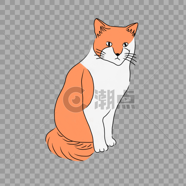 可爱的橘猫图片素材免费下载