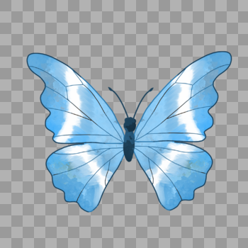 蝴蝶蓝色渐变白色手绘装饰图案图片素材免费下载