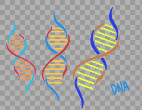 DNA基因遗传物质图片素材免费下载