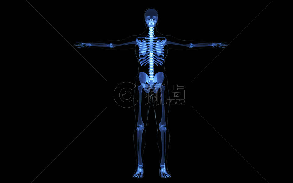 人体骨骼透视图片素材免费下载