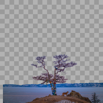 悬崖边一棵孤树图片素材免费下载