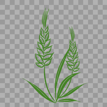 绿色手绘小麦PNG图片素材免费下载