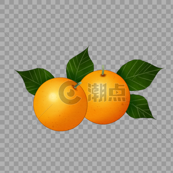 两个橙子图片素材免费下载
