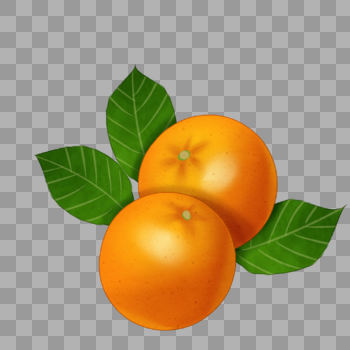 两个橙子图片素材免费下载