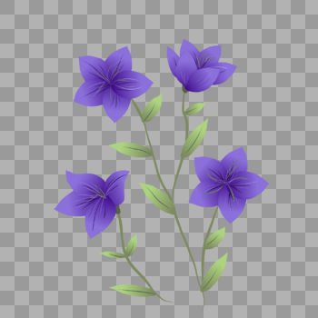 紫色花图片素材免费下载