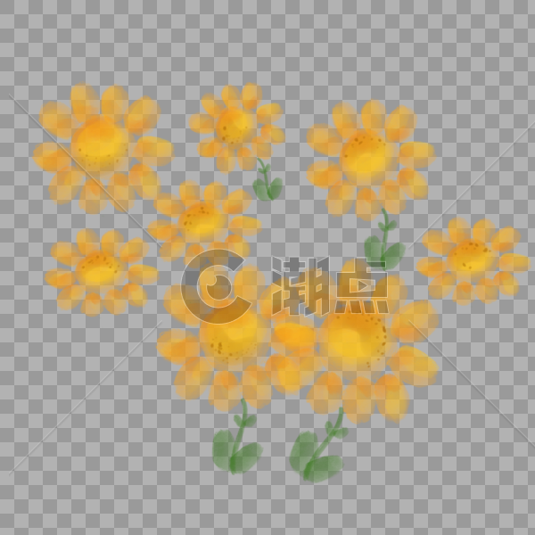 黄色雏菊菊花图片素材免费下载