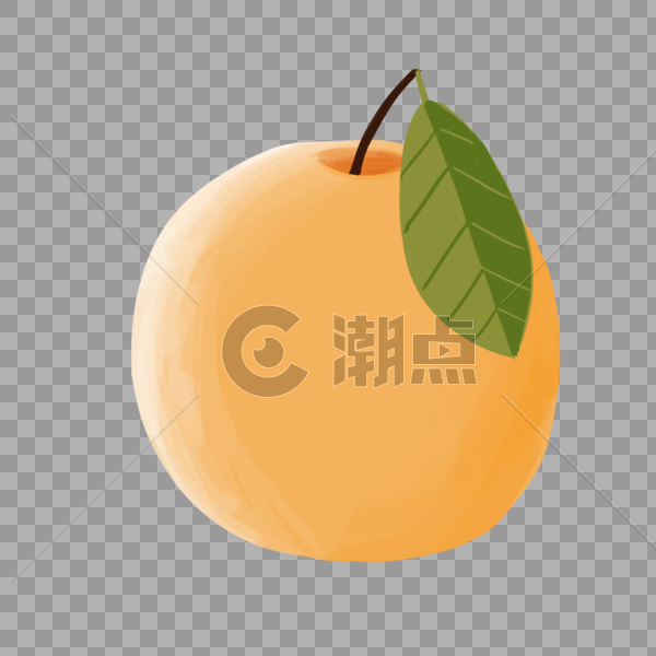 橘子水果图片素材免费下载