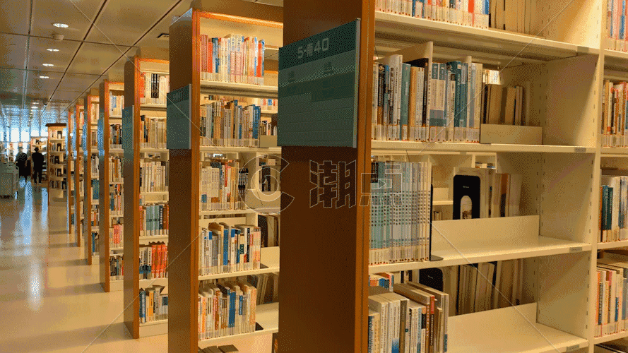 图书馆书架书籍实拍视频GIF图片素材免费下载