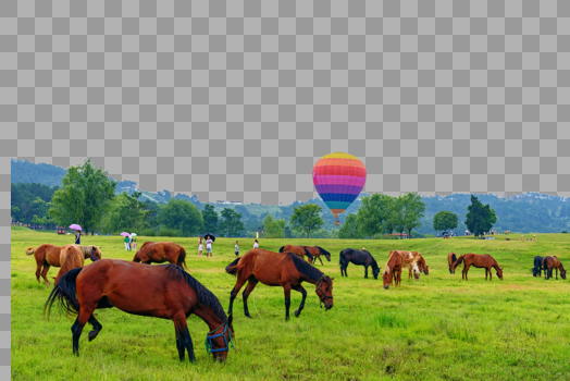 草原上的马群图片素材免费下载
