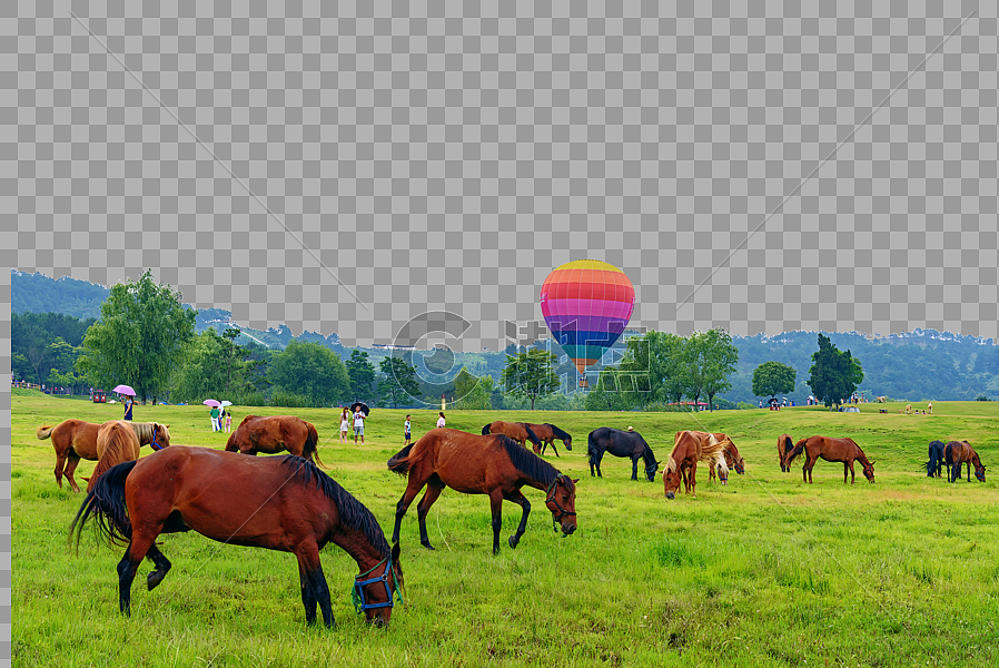 草原上的马群图片素材免费下载