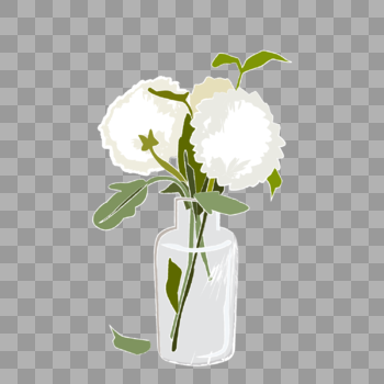插在花瓶里的白车轴草图片素材免费下载