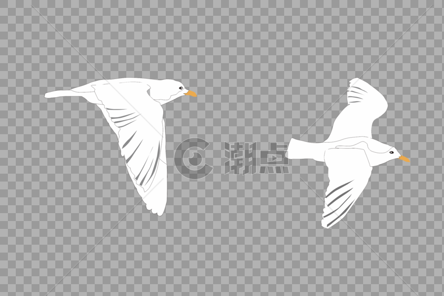 手绘展翅飞翔的鸟图片素材免费下载