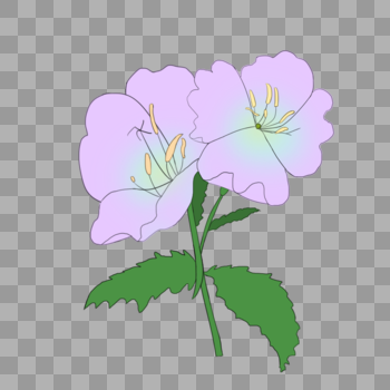 清新紫色花束图片素材免费下载