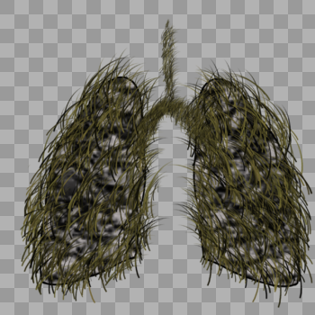 被烟草侵蚀的肺部图片素材免费下载