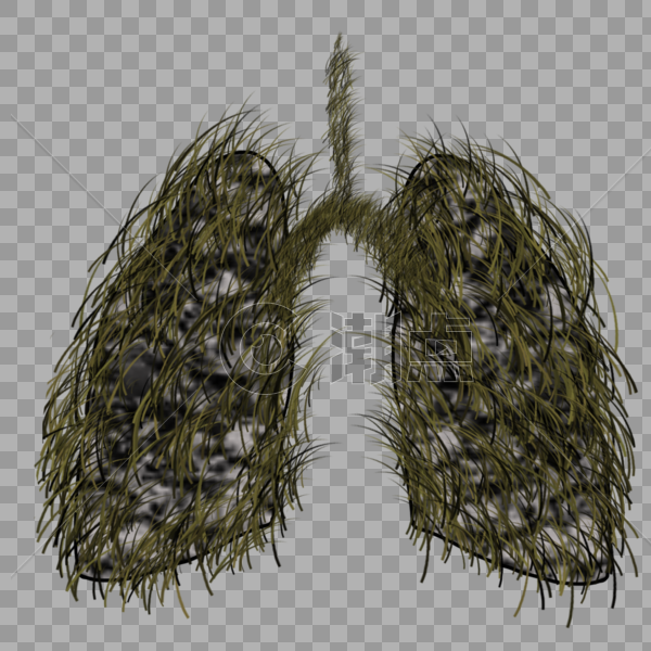 被烟草侵蚀的肺部图片素材免费下载