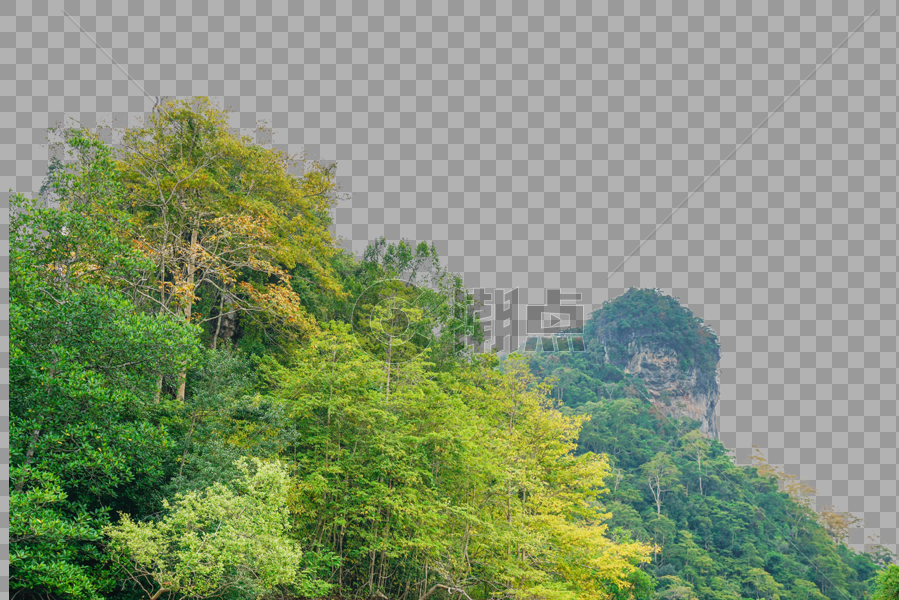 马来西亚兰卡威红树林图片素材免费下载