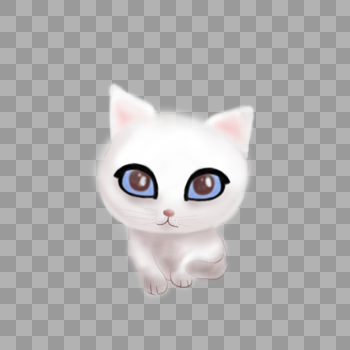 白色大眼猫咪图片素材免费下载