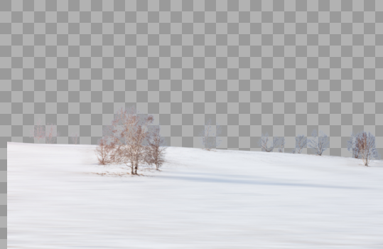 雪地中的树木图片素材免费下载