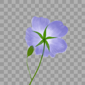 紫色花朵图片素材免费下载