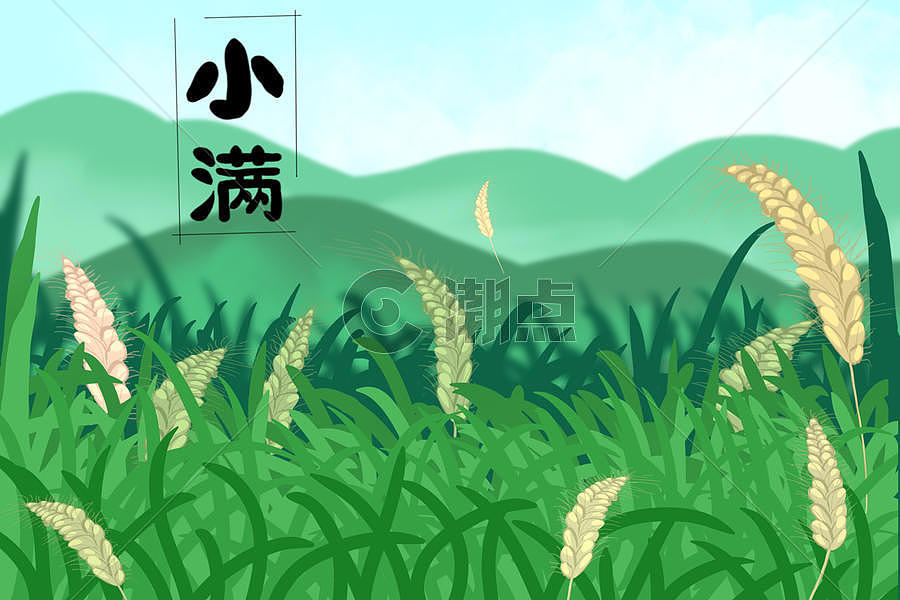 小满时节稻田里稻穗成熟遍野图片素材免费下载