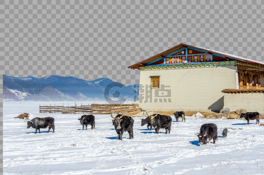 云南香格里拉冬季风光图片素材免费下载