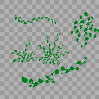 各式绿色藤蔓小草植物图片素材免费下载