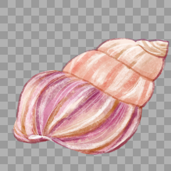 紫色大海螺图片素材免费下载