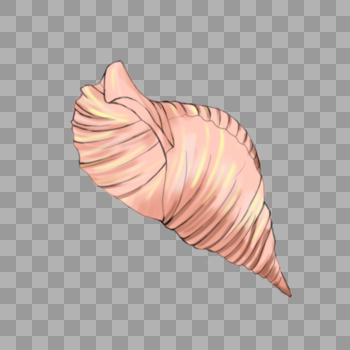 粉色海螺图片素材免费下载