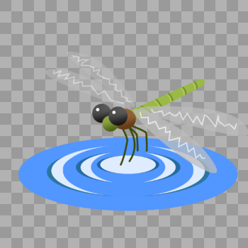 蜻蜓点水图片素材免费下载