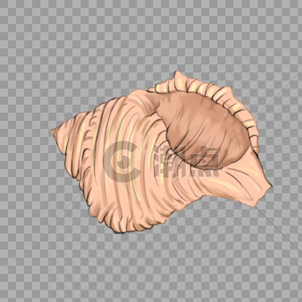 粉色海螺贝壳图片素材免费下载