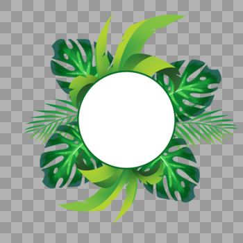 绿色植物装饰图片素材免费下载