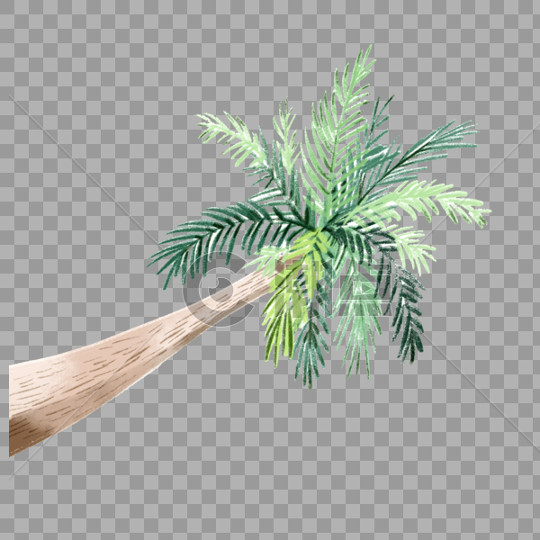 夏日海边椰树图片素材免费下载