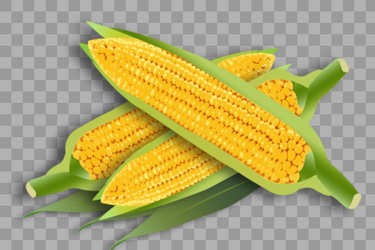 芒种玉米图片素材免费下载