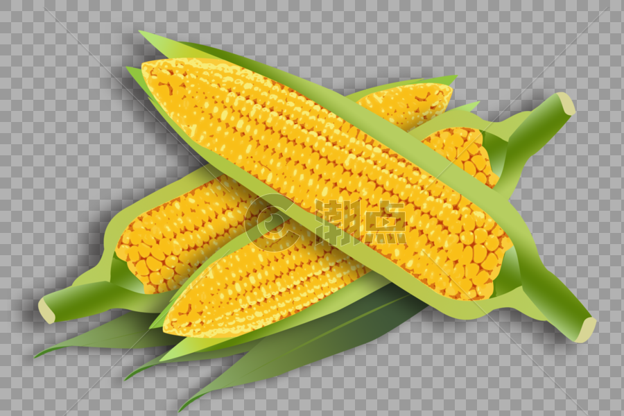 芒种 玉米图片素材免费下载