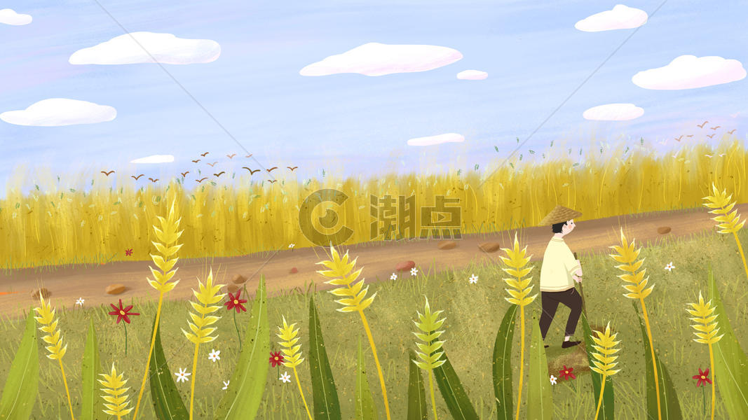 黄色芒种时节农民在地里忙作图片素材免费下载