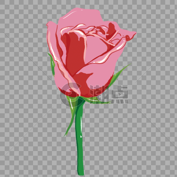 手绘玫瑰素材图片素材免费下载