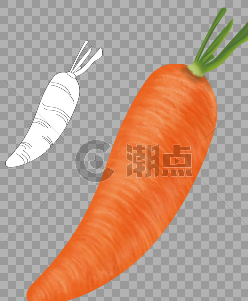 蔬菜果类元素胡萝卜图片素材免费下载