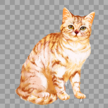 猫咪黄猫橘猫可爱宠物元素图片素材免费下载