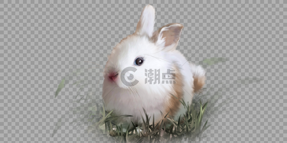兔子白兔宠物动物可爱草地手绘元素图片素材免费下载