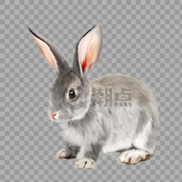 灰兔兔子动物宠物可爱手绘元素图片素材免费下载