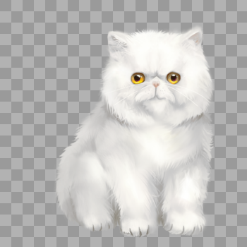 加菲猫白猫图片素材免费下载