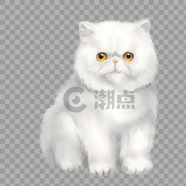 加菲猫白猫图片素材免费下载