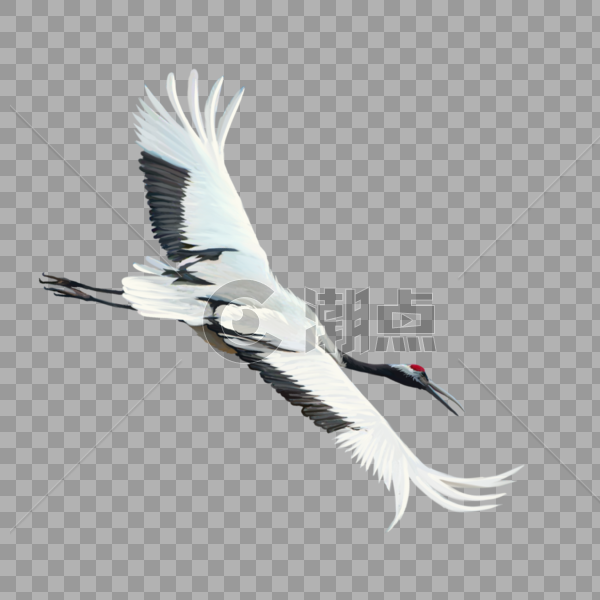 仙鹤鸟长寿鹤仙人神话传说飞翔动物手绘元素图片素材免费下载