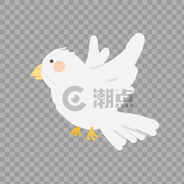 鸽子白鸽动物可爱图片素材免费下载