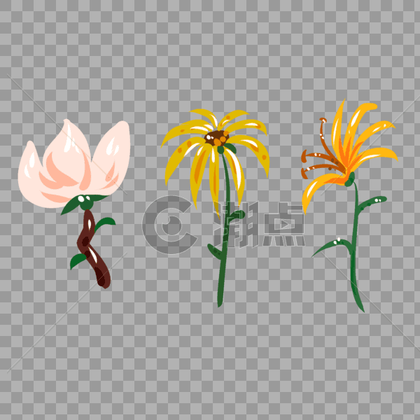 手绘花卉植物元素图片素材免费下载
