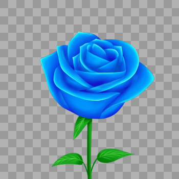 情人节蓝玫瑰图片素材免费下载
