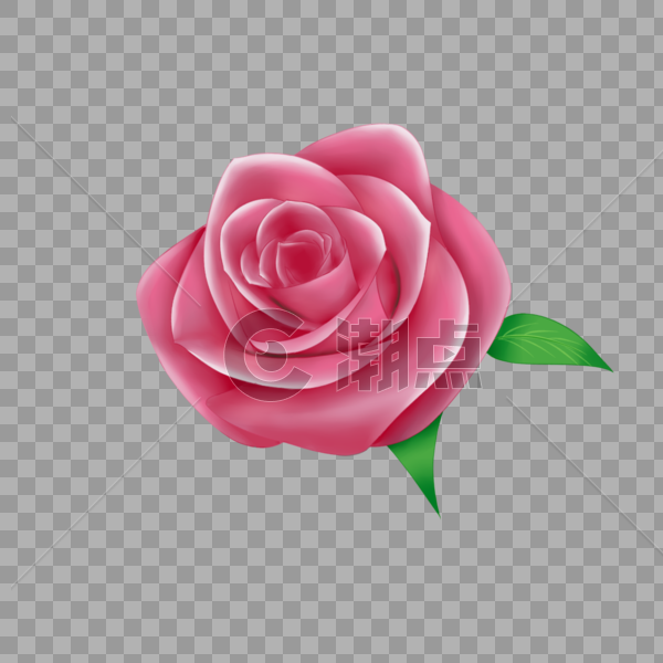 情人节单朵玫瑰图片素材免费下载