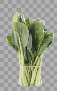 绿色蔬菜菜心图片素材免费下载