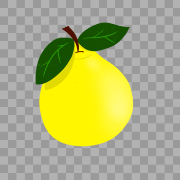 一大颗黄澄澄的柚子图片素材免费下载