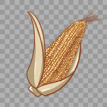 农作物玉米卡通手绘图片素材免费下载